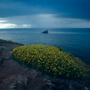 Bretagne, Cap Frehel, September 1999 © Wolfgang Herath