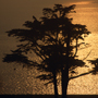 Bretagne, Plougasnou, September 1993 © Wolfgang Herath
