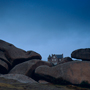 Bretagne, Ploumanach, Oktober 1991 © Wolfgang Herath