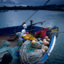Bretagne, Roscoff, September 1993 © Wolfgang Herath